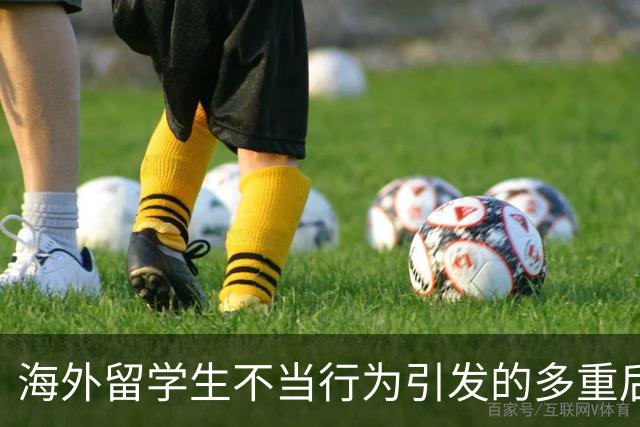 海外留学生不当行为引发的多重后果分析